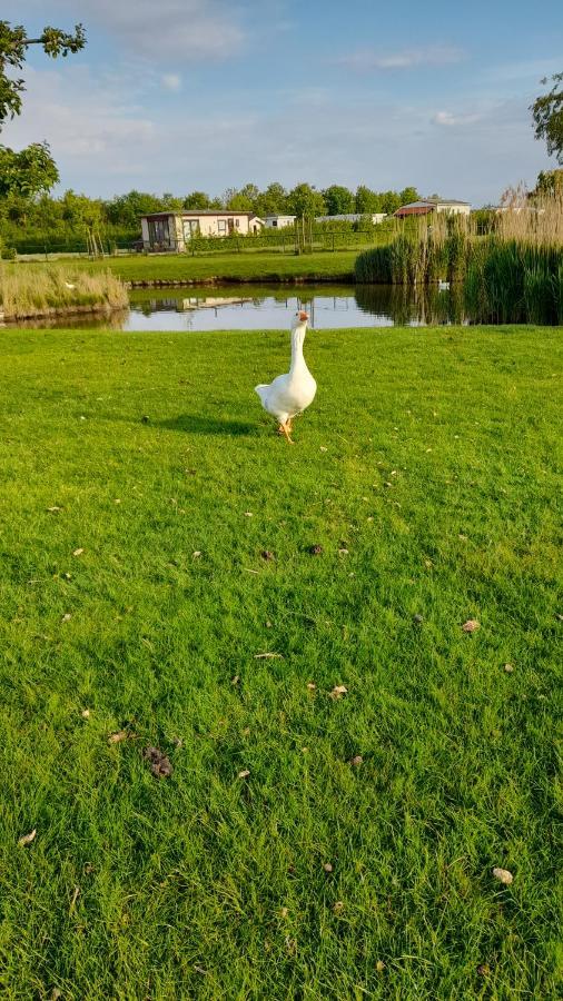 'T Groentje Baarland Exterior foto